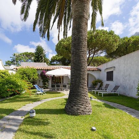 Villetta Con Giardino Esclusivo Di 1000 Mq, Piscina, Tennis, Calcio, Bocce Форио Экстерьер фото