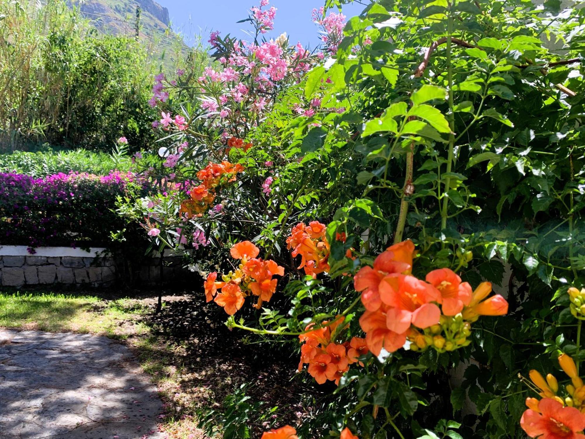 Villetta Con Giardino Esclusivo Di 1000 Mq, Piscina, Tennis, Calcio, Bocce Форио Экстерьер фото
