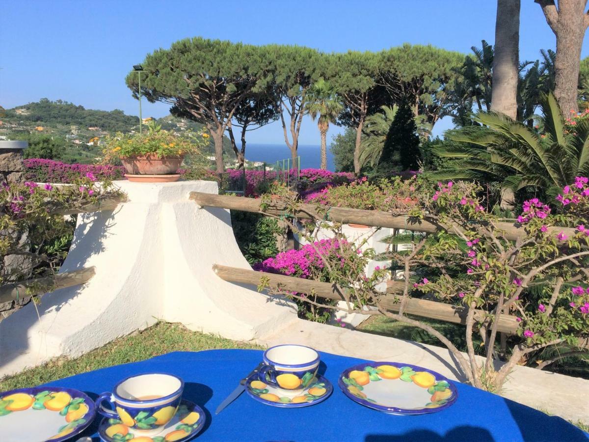 Villetta Con Giardino Esclusivo Di 1000 Mq, Piscina, Tennis, Calcio, Bocce Форио Экстерьер фото
